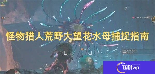 怪物猎人荒野大望花水母捕捉指南-怪物猎人荒野大望花水母捕捉教学