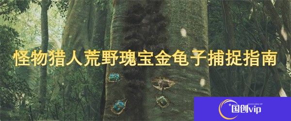 怪物猎人荒野瑰宝金龟子捕捉指南-怪物猎人荒野瑰宝金龟子捕捉