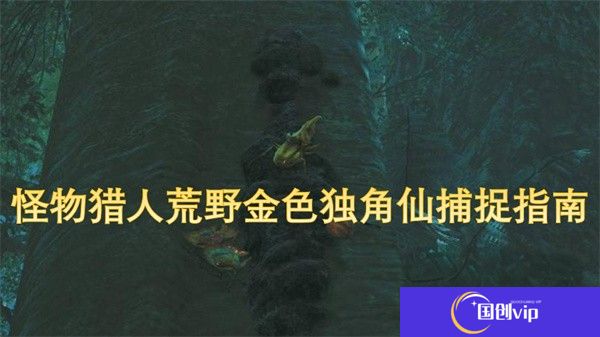 怪物猎人荒野金色独角仙捕捉指南-怪物猎人荒野金色独角仙捕捉教学