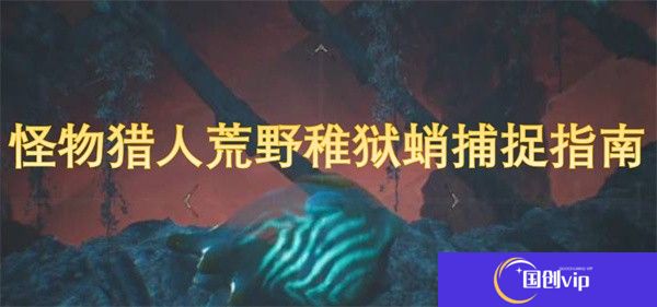 怪物猎人荒野稚狱蛸捕捉指南-怪物猎人荒野稚狱蛸捕捉