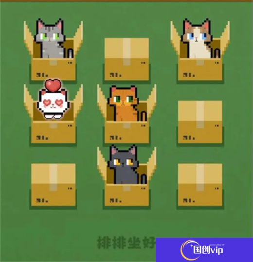 数猫猫