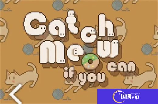 数猫猫