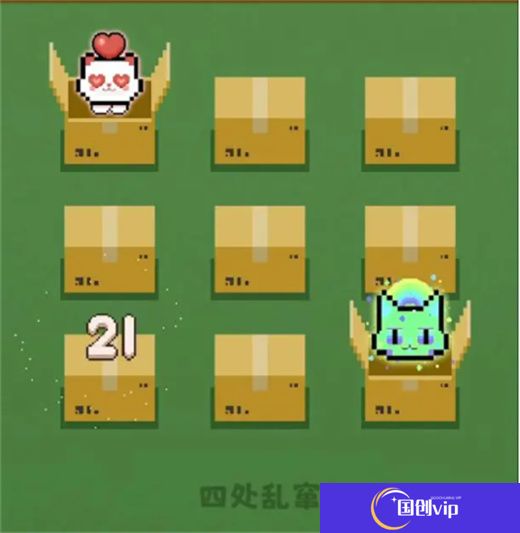 数猫猫