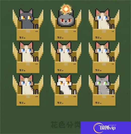 数猫猫