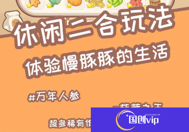 慢豚豚的生活