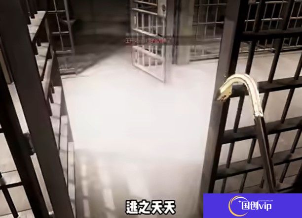 小偷模拟器安卓版下载中文