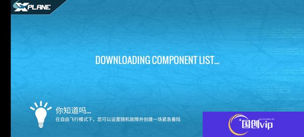 专业模拟飞行10