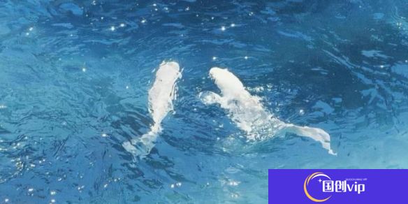 《英雄联盟》2025流行的网名大全1
