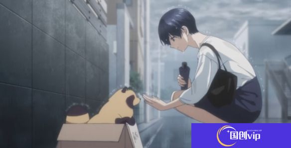 本站5