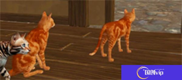 猫咪格斗战争模拟器