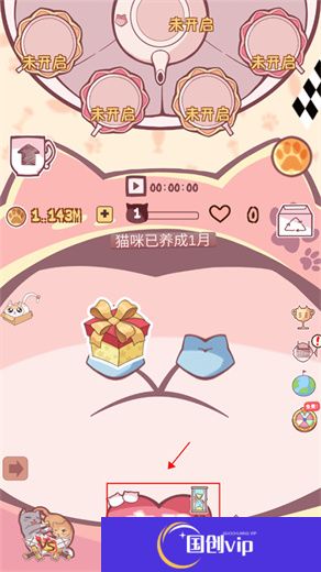 云撸猫咪