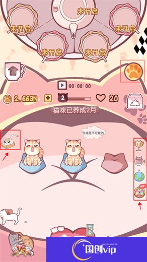 云撸猫咪