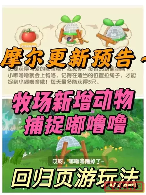 摩尔庄园手游嘟噜噜怎么抓,摩尔庄园手游嘟噜噜出现时间