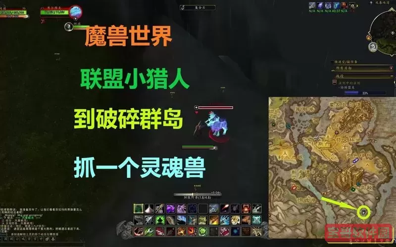 魔兽世界抓灵魂兽的宏图2