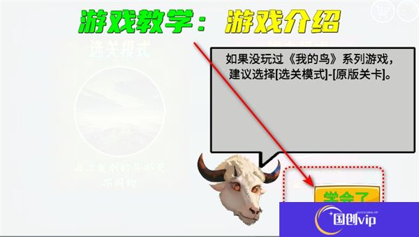 我的鸟随机版