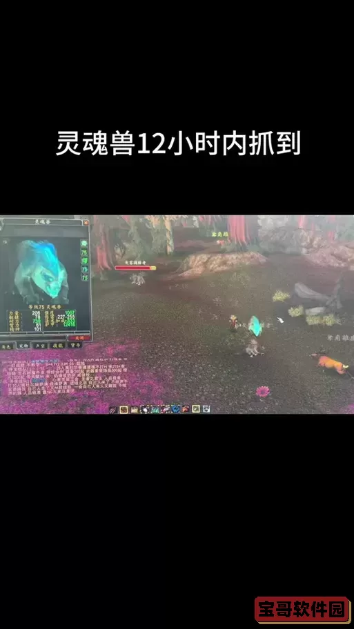魔兽世界抓灵魂兽的宏