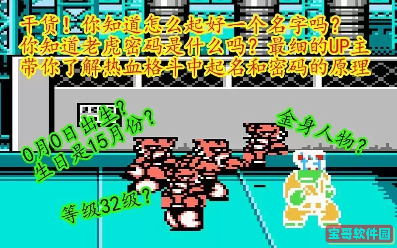 热血格斗传说老虎密码