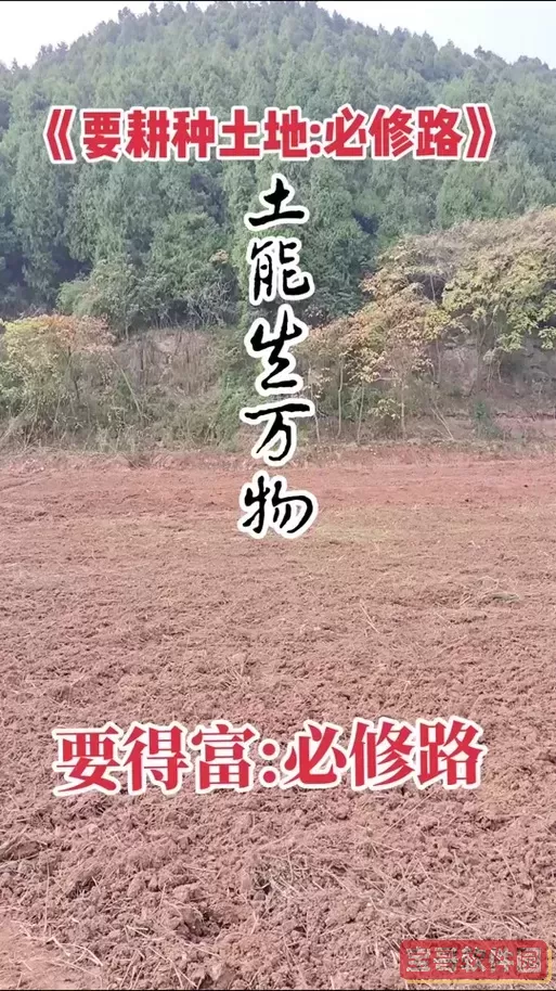 梦幻西游手游耕种二进三考核答案图2