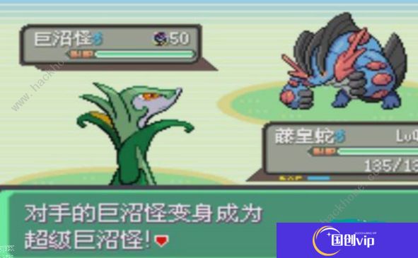 口袋妖怪绿宝石5.4攻略大全